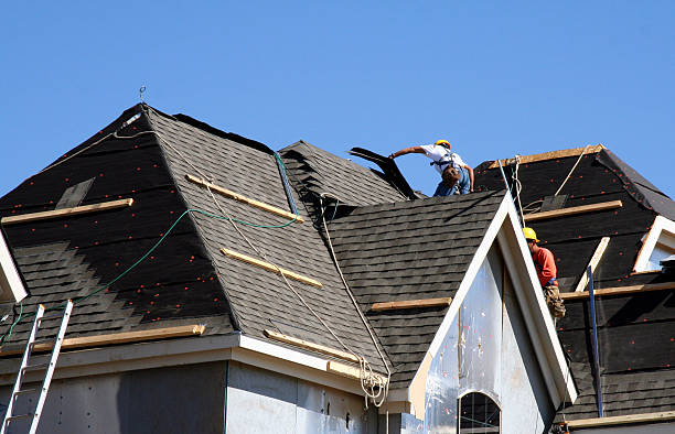 Best Roof Gutter Cleaning  in Vernonia, OR